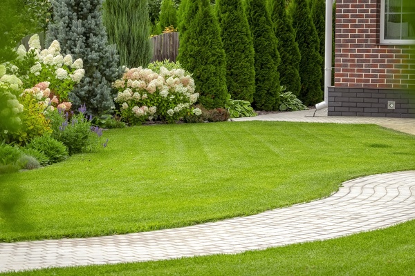 Reliable Landscaping Maintenance Landscaping Maintenance