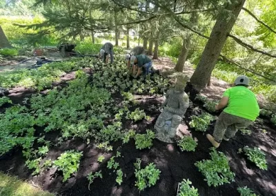 Affordable Landscaping Service