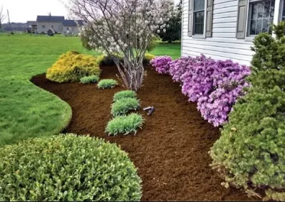 Landscaper (1)