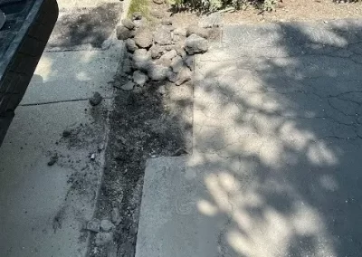 Landscaper (14)