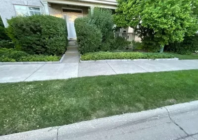 Landscaper (18)