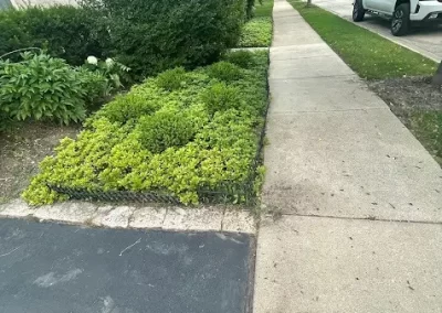 Landscaper (19)